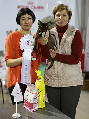   22-23  2014 WCF- 6-174-169A8261 copy.jpg